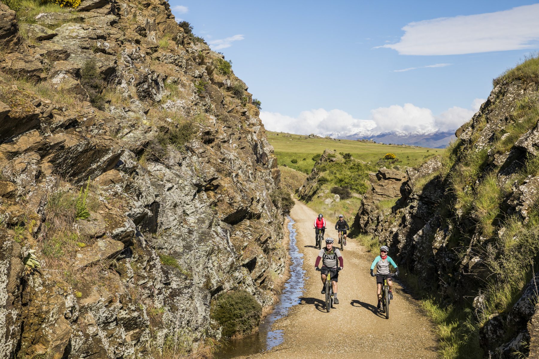 Four riders on the Otago Central Rail Trail, riding out through a rock cutting